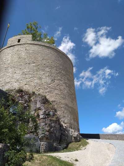 Die wunderschöne Welt mit Hund.-Beitrag-Bild