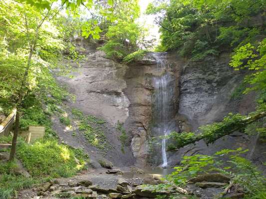 Die wunderschöne Welt mit Hund.-Beitrag-Bild