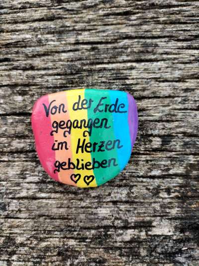 Berührende Hunde Bilder/Videos-Beitrag-Bild