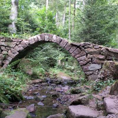 aktuelles Foto Gruppe Wandern und Outdoor
