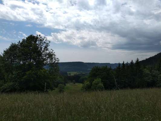Die wunderschöne Welt mit Hund.-Beitrag-Bild
