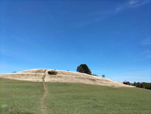 Die wunderschöne Welt mit Hund.-Beitrag-Bild