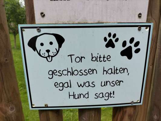 Hunde Memes-Beitrag-Bild