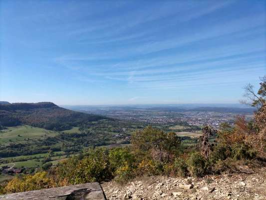 Die wunderschöne Welt mit Hund.-Beitrag-Bild