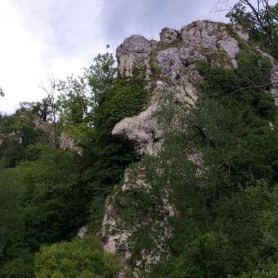 aktuelles Foto Gruppe Wandern und Outdoor