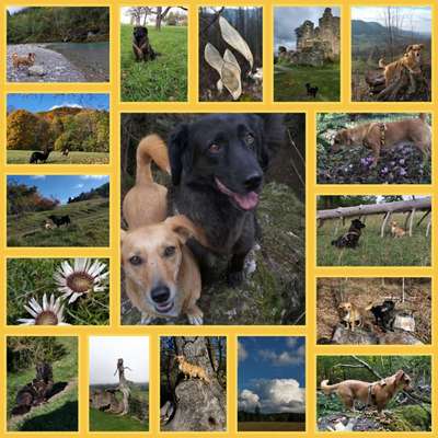 aktuelles Foto Gruppe Wandern und Outdoor