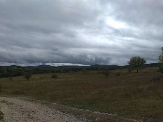 Hundeauslaufgebiet-Natutschutzgebiet-Bild