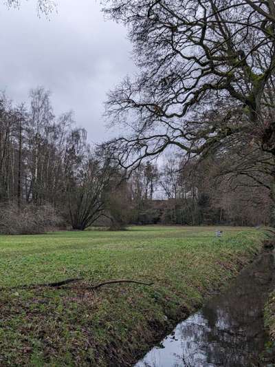 Hundeauslaufgebiet-Sportanlagen-Bild