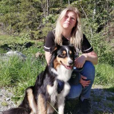 Hundepensionen-Hundebetreuung Abensberg-Bild