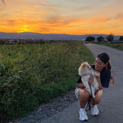 Hundetreffen-Spielstunde für Kleinhunde⚽️🐶