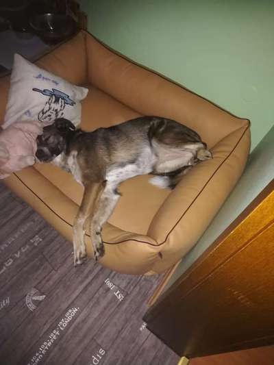 Schlafzeit!💖-Beitrag-Bild