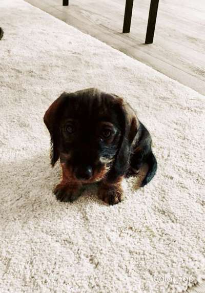 Vorher.... Nachher-Beitrag-Bild