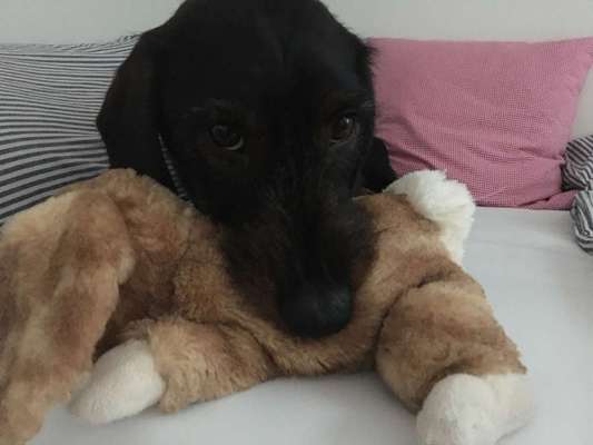 Vorher.... Nachher-Beitrag-Bild