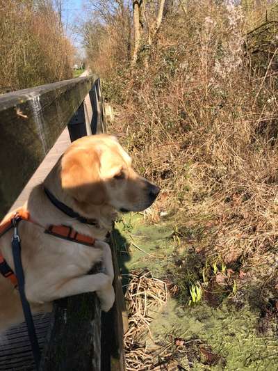 Foto Challenge Nr. 79-Beitrag-Bild