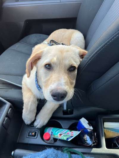 Ach, wie schnell die Zeit vergeht-Beitrag-Bild