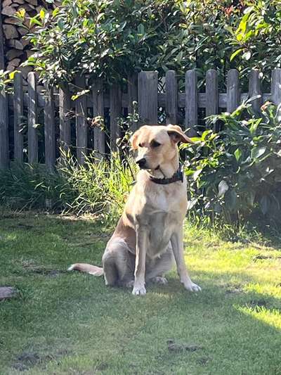 Ach, wie schnell die Zeit vergeht-Beitrag-Bild