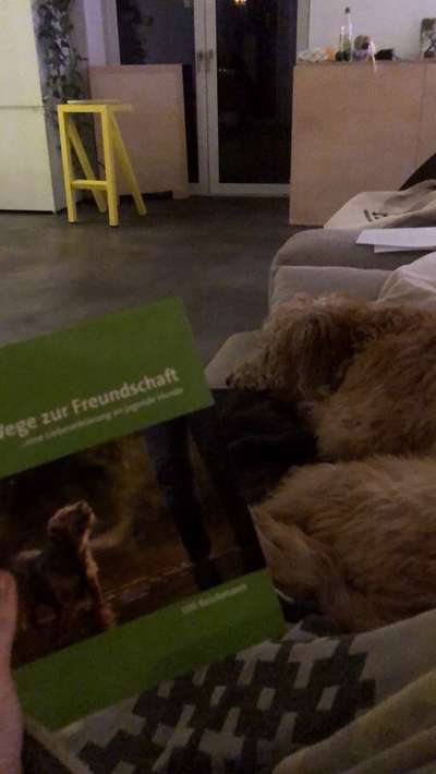 "Wege zur Freundschaft" (Ulli Reichmann)-Beitrag-Bild