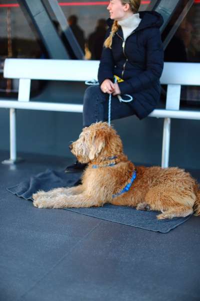 Fähre nach Irland-Beitrag-Bild