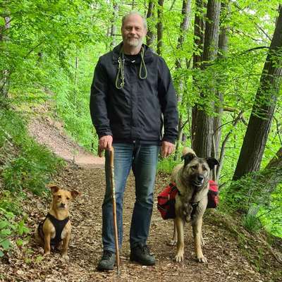 Hundetreffen-Wanderungen-Profilbild