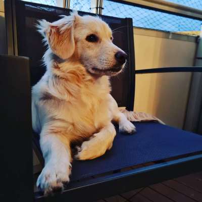 Lieblingsbild-Beitrag-Bild