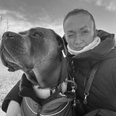 Positiver Befund: Helicobacter-Beitrag-Bild