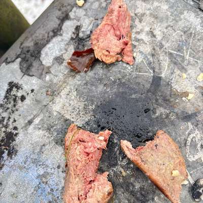 Giftköder-Größe Stück Fleisch mit Nadel-Bild