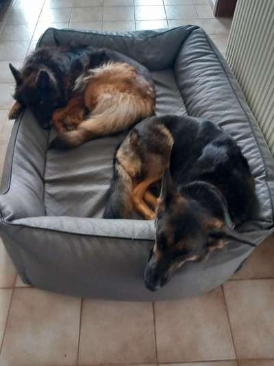 Platz aussuchen lassen.-Beitrag-Bild