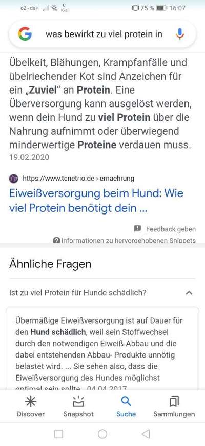 Zu hoher Proteingehalt? Was stimmt?-Beitrag-Bild