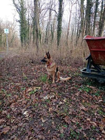 Euer schönster Moment des Jahres auf einem Bild!-Beitrag-Bild