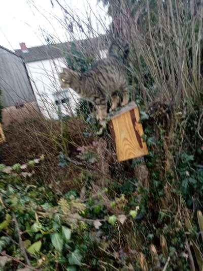 Euer schönster Moment des Jahres auf einem Bild!-Beitrag-Bild