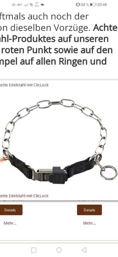 Alles rund um den Schäferhund, diskutieren erwünscht.-Beitrag-Bild