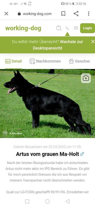 Alles rund um den Schäferhund, diskutieren erwünscht.-Beitrag-Bild