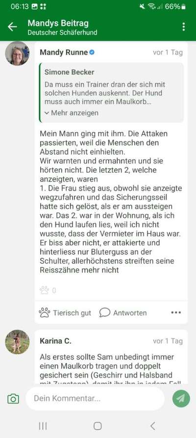 Sozialisierung und Trauma-Beitrag-Bild