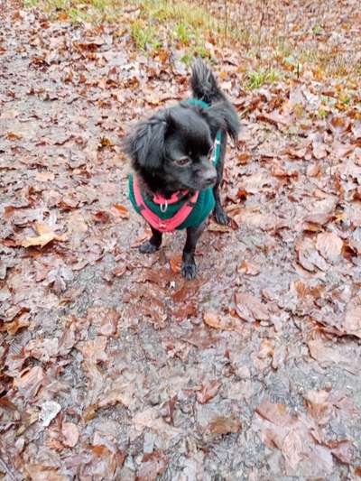 Euer schönster Moment des Jahres auf einem Bild!-Beitrag-Bild