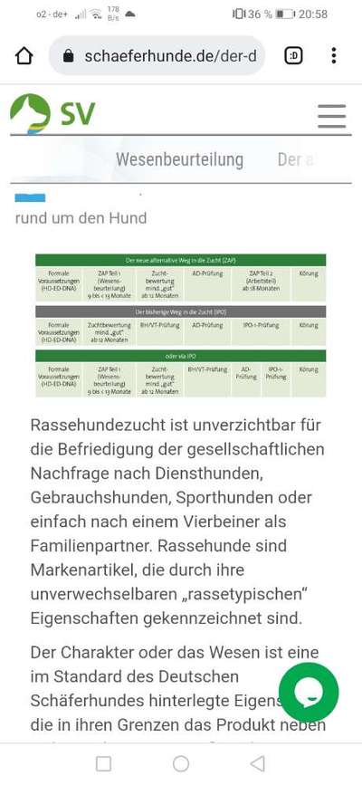 Alles rund um den Schäferhund, diskutieren erwünscht.-Beitrag-Bild