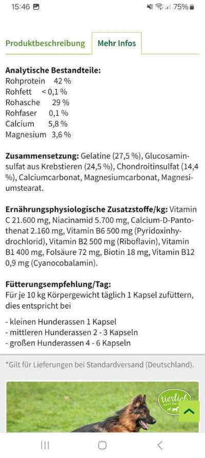 Knochen unterstützen-Beitrag-Bild