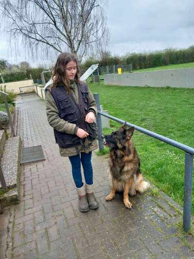 Korrektes Sitz trainieren / Welpensitz abgewöhnen-Beitrag-Bild