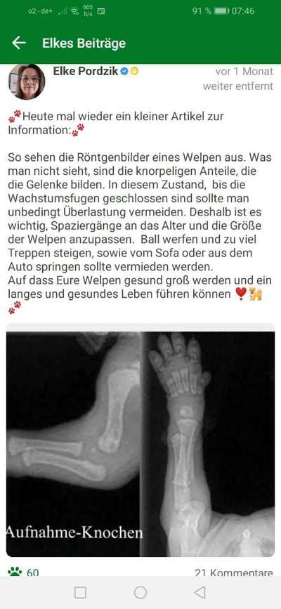 Radlerschreck-Beitrag-Bild