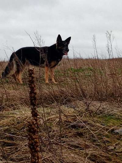 Euer schönster Moment des Jahres auf einem Bild!-Beitrag-Bild
