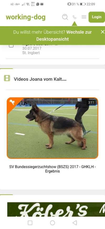 Alles rund um den Schäferhund, diskutieren erwünscht.-Beitrag-Bild