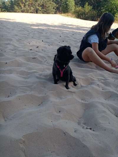 Wir haben probleme mit dem Fressverhalten.-Beitrag-Bild