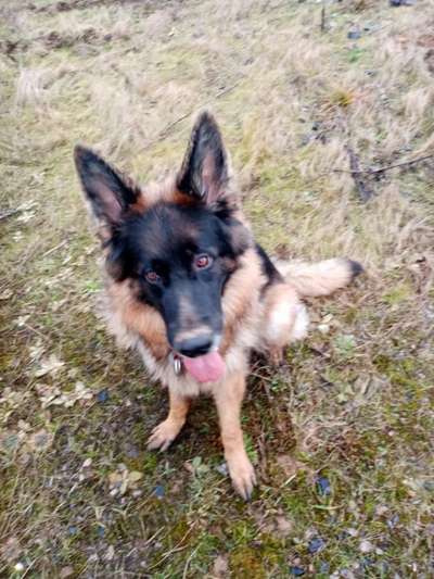 Euer schönster Moment des Jahres auf einem Bild!-Beitrag-Bild