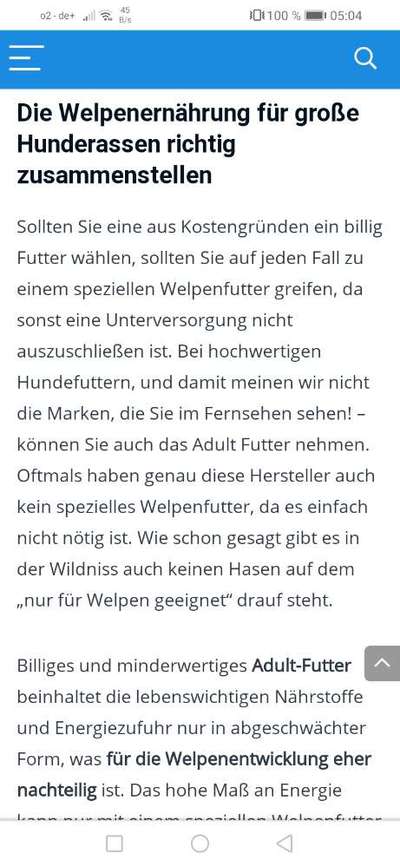 9 Wochen altes Schäferhund Weibchen ( füttern in kg )-Beitrag-Bild