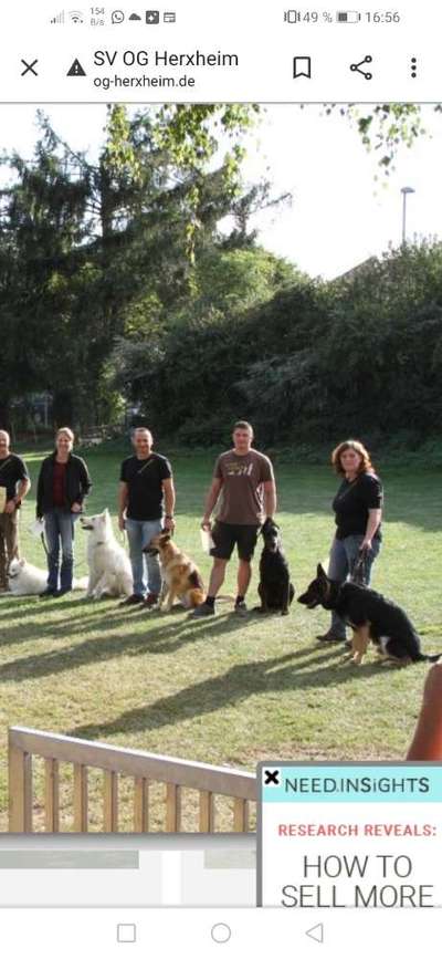 Alles rund um den Schäferhund, diskutieren erwünscht.-Beitrag-Bild