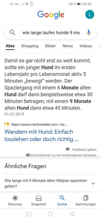 Wie oft gassi?-Beitrag-Bild