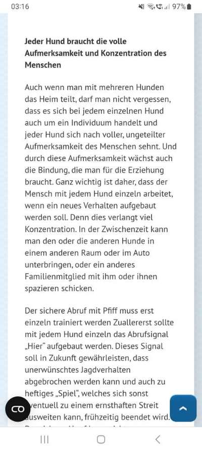 Müssen Hunde manchmal einfach Dinge unter sich ausmachen (dürfen)?-Beitrag-Bild
