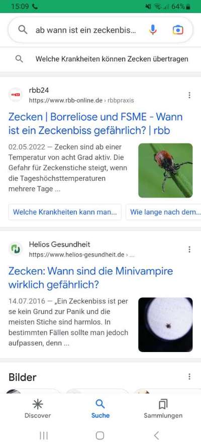 Zeckenhalsband, Luna Balu ???-Beitrag-Bild