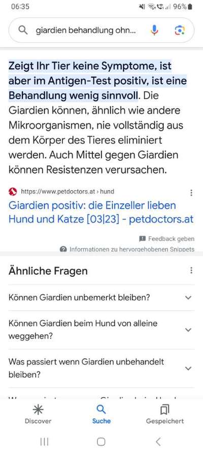 Giardien biem Hundewelpen-Beitrag-Bild