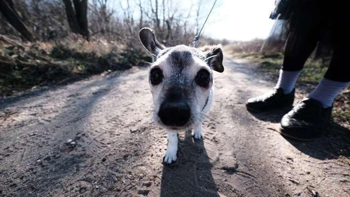 42. Handy Fotochallenge - Den richtigen Riecher haben-Beitrag-Bild