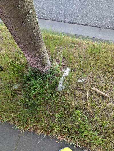 Giftköder-Komische weisses Pulver-Bild